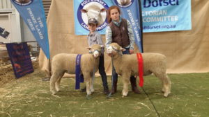 Zac holding VV160/16 First Ewe Lamb and Sally holding VV69/16 Second Ram lamb Bendigo ASBA 2016